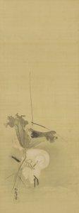 Heron and Lotus
