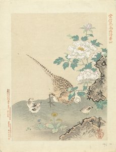 Quail with Chicks by Kano Tsunenobu
