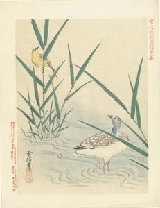 Waterfowl Looking at Yellow Songbird (series title: Flower and Bird Sketches by Kano Tsunenobu) (series title on object: Kano Tsunenobu Kacho Gafu) by Kano Tsunenobu