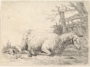 A sheep lying with its legs folded underneath its body next to a wooden fence by Karel Du Jardin