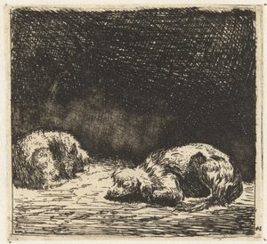 Sleeping Dog and Cat