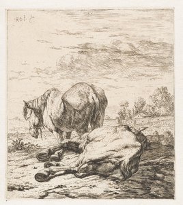 Two Horses by Karel Du Jardin