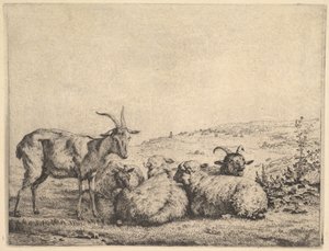 Two Goats and Three Sheep