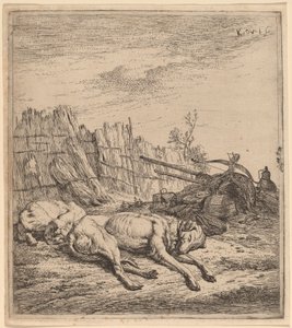 Hunting Dogs by Karel Dujardin
