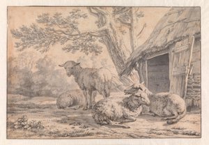 Sheep by a Barn by Karel Dujardin