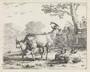 Four Goats by Karel Dujardin