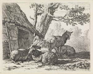 Four Sheep by Karel Dujardin