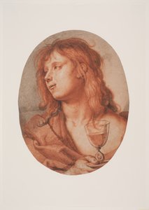 The Apostle John