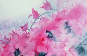 Bougainvillia by Karen Armitage