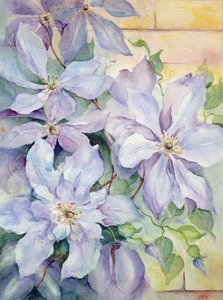 Clematis, The President by Karen Armitage