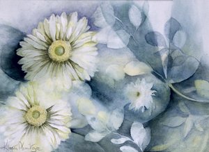 Gerbera Jameson II by Karen Armitage