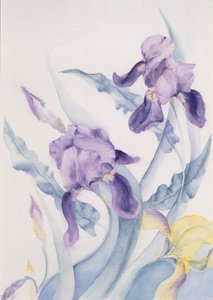 Iris, Blue Mare by Karen Armitage