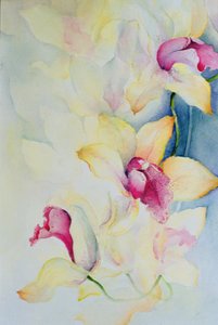 Orchid, Cymbidium, Prince Charles by Karen Armitage