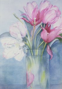 Pink Parrot Tulips and Marlette