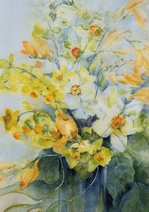 Spring Flowers