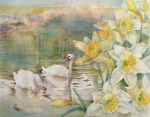 Swans at Hurst by Karen Armitage