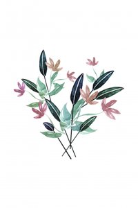 Delicate Watercolor Florals