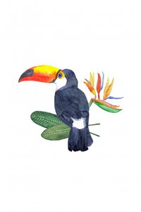 Tropical Toucan and Bloom