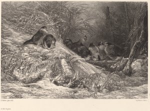 Sheltered from the Frost