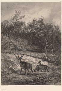 By the Water by Karl Bodmer
