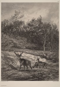 By the Water by Karl Bodmer