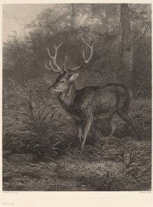 Ten-Point Stag