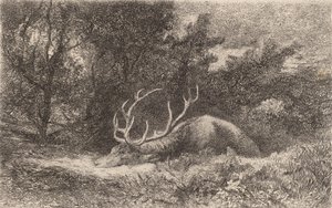 Resting Deer by Karl Bodmer