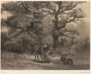 Deer in the Pasture