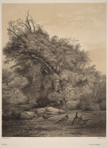 Pheasants by Karl Bodmer