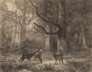 Forest of Fontainebleau