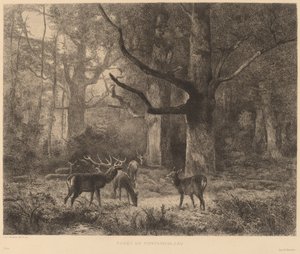 Forest of Fontainebleau