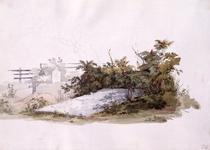Grave of the Brethren at Gnadenhutten by Karl Bodmer