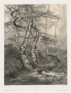 Hare Pursued by a Goshawk, 1858 by Karl Bodmer