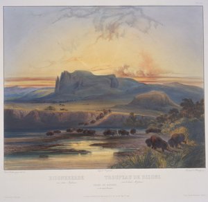 Herd of Bison on the Upper Missouri