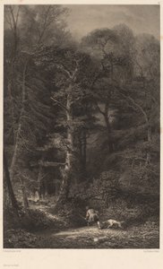 Forest Interior by Karl Bodmer