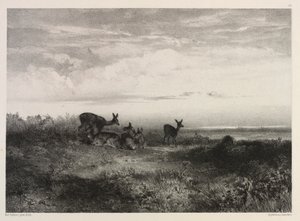 Landscape with Deer