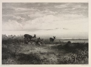 Landscape with Deer