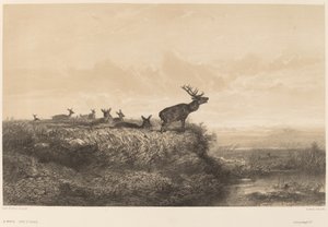 The Morning by Karl Bodmer