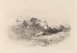 The Two Herons