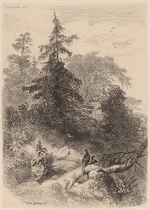 The Pheasants