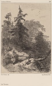 The Pheasants by Karl Bodmer