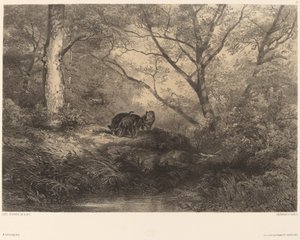 Wild Boar Piglets by Karl Bodmer