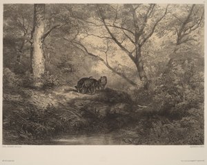 Wild Boars by Karl Bodmer