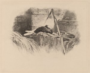 Pigeon on a Nest