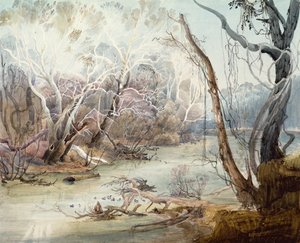 The Fox River near New Harmony, Indiana by Karl Bodmer