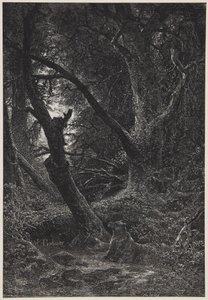 Two Bears in Forest by Karl Bodmer