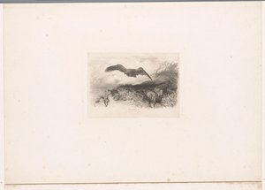 Flying Eagle by Karl Bodmer