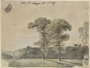 Tree Study by Karl Friedrich Schinkel