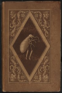 Master Flea: A Fairy-Tale in Seven Adventures of Two Friends by Karl Friedrich Thiele, Ernst Theodor Amadeus Hoffmann