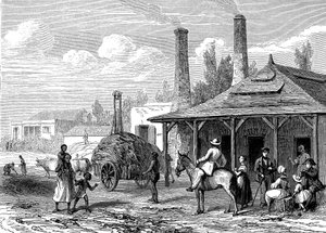 Sugar Plant in Mauritius in 1863 by Karl Girardet